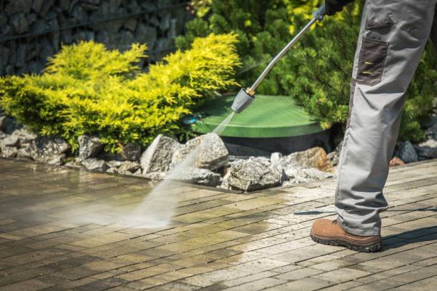 Best Animal Enclosure Cleaning  in Neuse Forest, NC