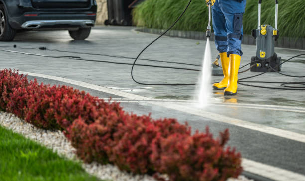 Best Driveway Pressure Washing  in Neuse Forest, NC